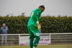 IMG_7247
