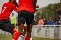 IMG_7295