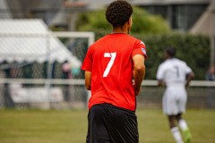 IMG_7382