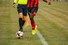 IMG_7386