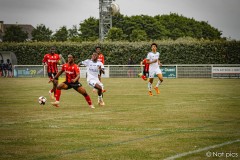 IMG_7491
