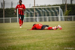 IMG_7593