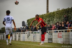 IMG_7627