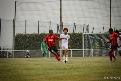 IMG_7705