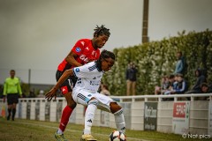 IMG_7806