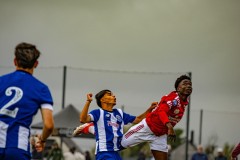 IMG_8160