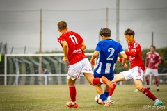 IMG_8219