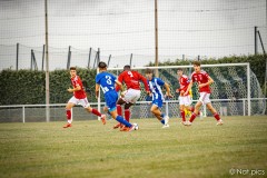 IMG_8286