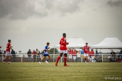 IMG_8294