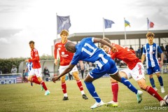 IMG_8451