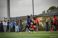 IMG_8654