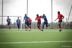 IMG_8950