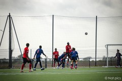 IMG_8986