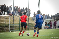 IMG_9077
