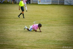 IMG_9331