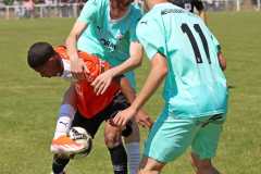 IMG_4461-1