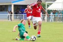 IMG_3336-1