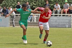 IMG_3377-1