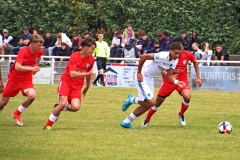 IMG_0353-1