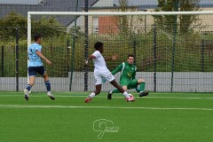 20250607_Autres_067-Copier-1
